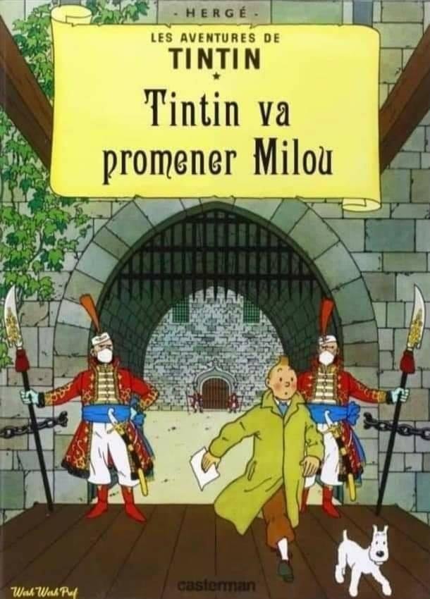 Tintin confinement2