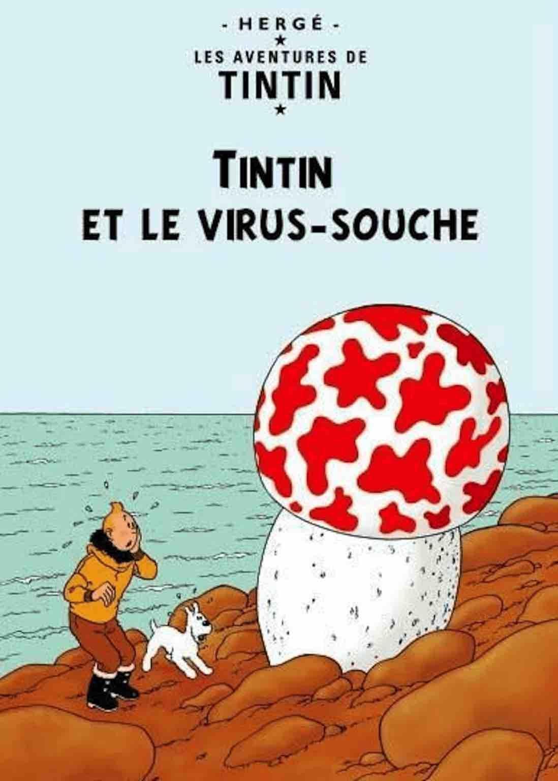 Tintin confinement7