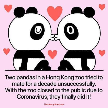 The-Happy-Broadcast11