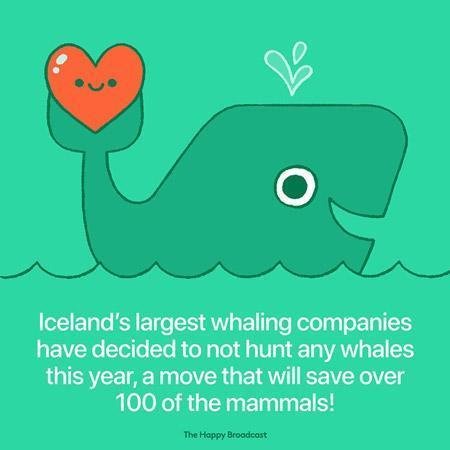 The-Happy-Broadcast4