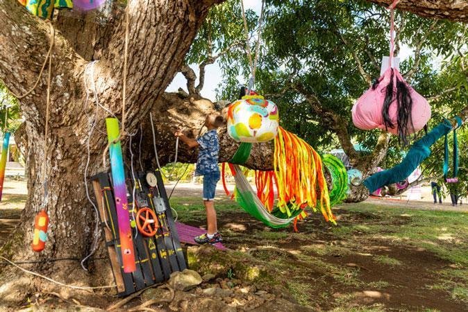 Isla-2068-Magic-tree4