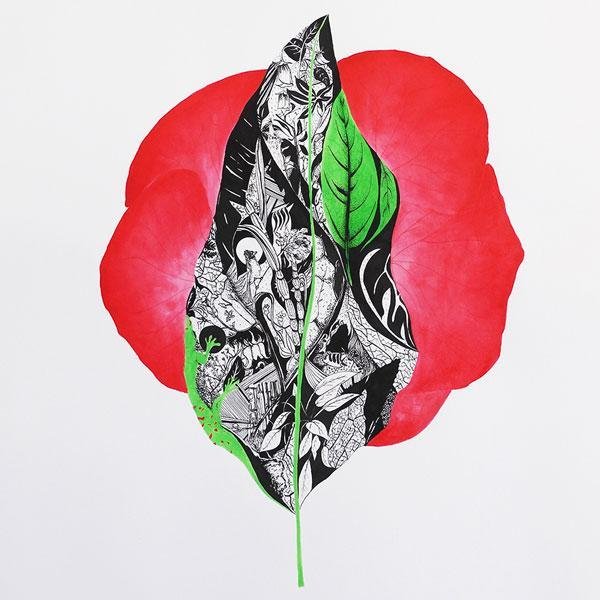 LaurieCastel_Trochetia